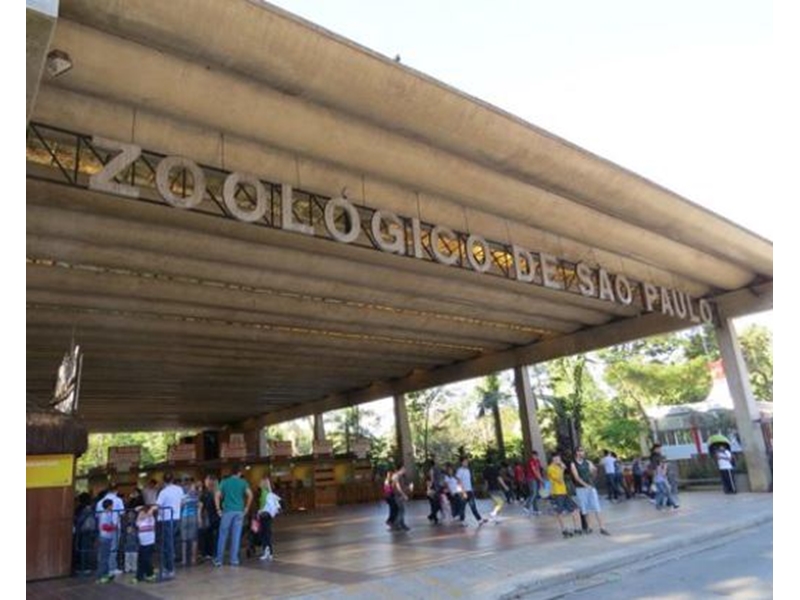 Desentupidora próximo Zoológico de São Paulo